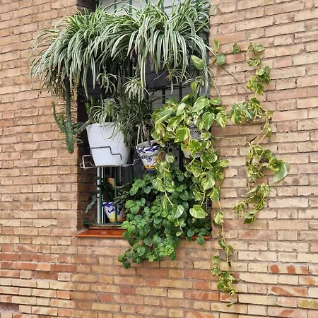 Apartamento Naranjas De Reina Mercedes *